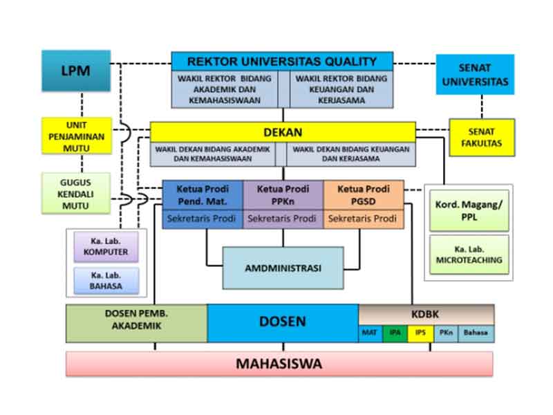 Struktur Magister Pendidikan Dasar